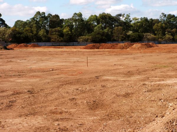 Cost of Field Clearing in Portland