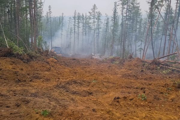 Cost of Hill Clearing in Portland